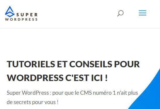illustration-super-wordpress capture d'ecran page d'accueil site de conseils wordpress